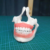 RESIONE 3D Printer Resin, F80 Elastic Resin 405nm UV-Curing Resin with High Elongation at Break High Resilience Photopolymer Resin for LCD DLP MSLA 3D Printing (Pink, 500g) RI RESIONE