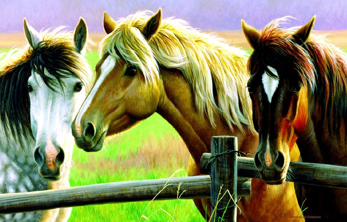 SUNSOUT INC - Horse Fence - 1000 pc Jigsaw Puzzle by Artist: Cynthie Fisher - Finished Size 19" x 30" - MPN# 70922 SunsOut