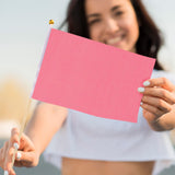 20 Pack Small Solid Color Flag, Mini Marking Flags on Sticks Blank Sublimation Flags Yellow Green Blue Red Flags DIY Graffiti Flags Kids Birthday Party Supplies for Parades Festival Events Celebration Sliverdew