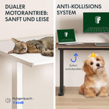 FLEXISPOT 71 x 32 Inch Dual Motor Standing Desk, Computer Desk with Memory Controller, Home Office Desk with Splice Board (Black Frame + 71" Black Desktop, 2 Packages) FLEXISPOT