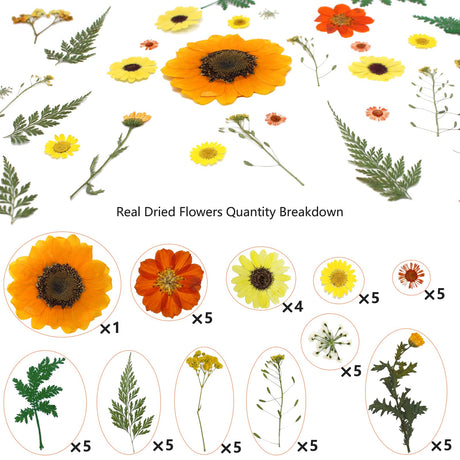 50 Pcs Dried Flowers for Resin,Real Pressed Flowers Leaves Mixed Multiple Natural Kit for Christmas DIY Gift,Art Crafts,Candle, Soap Making, Nails Decor Flyekist