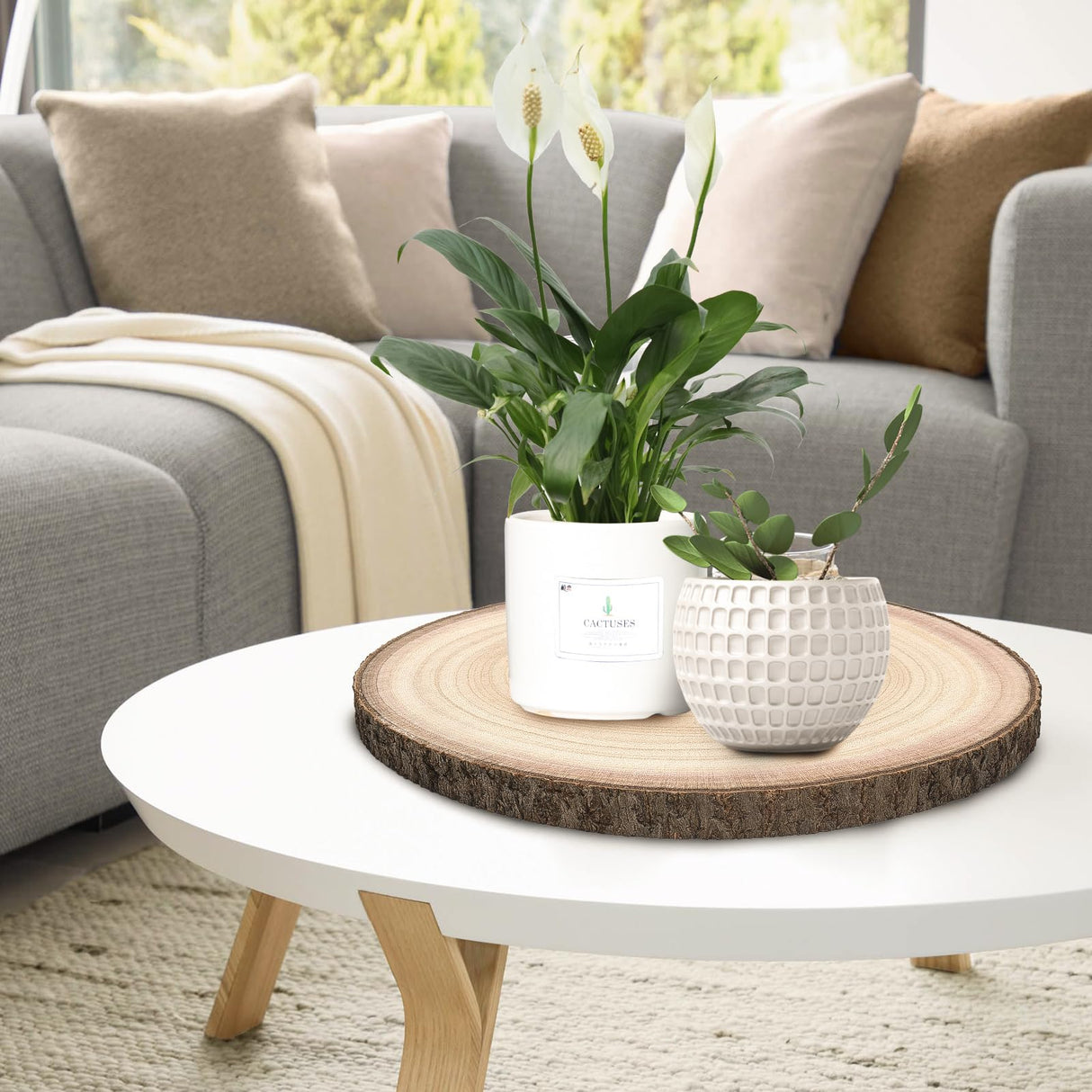 JILTWO 8Pcs 9-10 Inch Unfinished Wood Slices, Wood Rounds Cookies for Crafts, Rustic Wood Circles & Slabs, Wooden Discs for Tables Decor- Perfect for Centerpieces, Art Projects and Rustic Weddings JILTWO