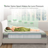 Novilla King Size Mattress, 10 Inch Hybrid Mattress in a Box, Individually Wrapped Pocket Coils Innerspring Mattress for Motion Isolation, Supportive with Medium Firm Feel, Groove Novilla