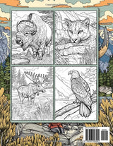 American Wildlife: Coloring Book For Adults Beautiful Wildlife Scenes With Forest Animals, Fauna, Birds And More! Majosta