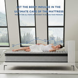 MixDeer Queen Mattress 12inch in a Box,Memory Foam Hybrid Mattress with Pocket Springs and Zoned Support for Back & Lumbar Pressure Relief,Motion Isolation and Edge Support -CertiPUR-US(12 Inch,Queen) MixDeer