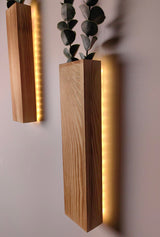 2 Pack Wall Planters for Indoor Plants, Hanging Wall decor with LED Lights for Bathroom, Bedroom Living Room, Kitchen Modern Home Wooden Art Rustic Wall Sconces Vases for Dried Flowers Fake Greenery Comtelek