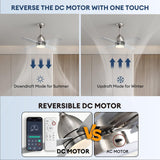 SNZ 38 Inch Flush Mount Ceiling Fans with Lights and Remote Control, Nickel Low Profile Ceiling Fan for Bedroom, Living Room,Office,Kitchen,Patios Indoor and Outdoor Use SNZ