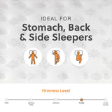 Signature Design by Ashley Twin Size Palisades 14 Inch Plush Hybrid Mattress with Quick Response Gel Memory Foam, Fiberglass Free, Mattress In A Box Signature Design by Ashley