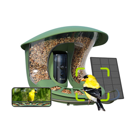 Birdfy 2 Smart Bird Feeder with Camera, Dual-Lens, Solar-Powered, Wireless Birdwatching, Permanent AI Identify 6000+ Bird Species & Motion Detection, Gift Present Birdfy