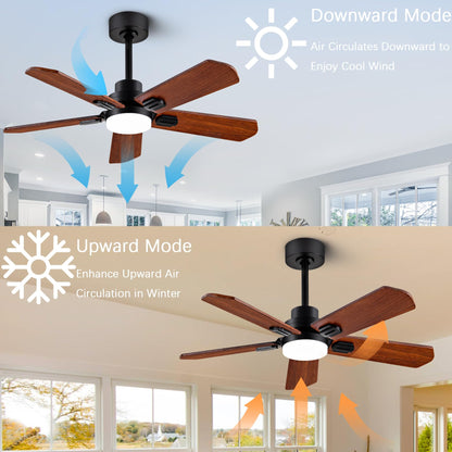 ducrew 42" Wood Ceiling Fan with Light and Remote, Quiet Reversible DC Motor, 5 Blade Walnut/Black, 6 Speed, Indoor/Outdoor Ceiling Fans for Patio, Dining Room,Living Room and Farmhouse - WoodArtSupply