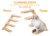 PELUOMOZ Cat Climbing Shelves Wall Mounted 2PCS Four Steps Reversible Left & Right Direction, Cat Shelf Stairway for Wall with Jute Scratching Ladder Shelves Pet Furniture for Perch Sleeping PELUOMOZ
