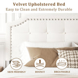 HAOARA King Size Bed Frame, King Size Platform Bed Frame with Upholstered Button Tufted Headboard, Strong Wood Slats, No Box Spring Needed, Mattress Foundation, Easy Assembly Beige HAOARA