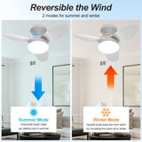 Vilante Ceiling Fans with Lights, 24 Inch Low Profile Ceiling Fan with Light and Remote Control, Dimmable, 6 Speeds, 3CCT, Flush Mount, Quite, Reversible DC Motor Modern Ceiling Fan for Bedroom Vilante