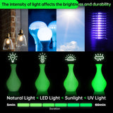 SUNLU Glow in The Dark PLA Filament, Neatly Wound Luminous PLA 3D Printer Filament 1.75mm Dimensional Accuracy +/- 0.02mm, Fit Most FDM 3D Printers, 1kg Spool (2.2lbs), (White PLA, Glow Green) SUNLU