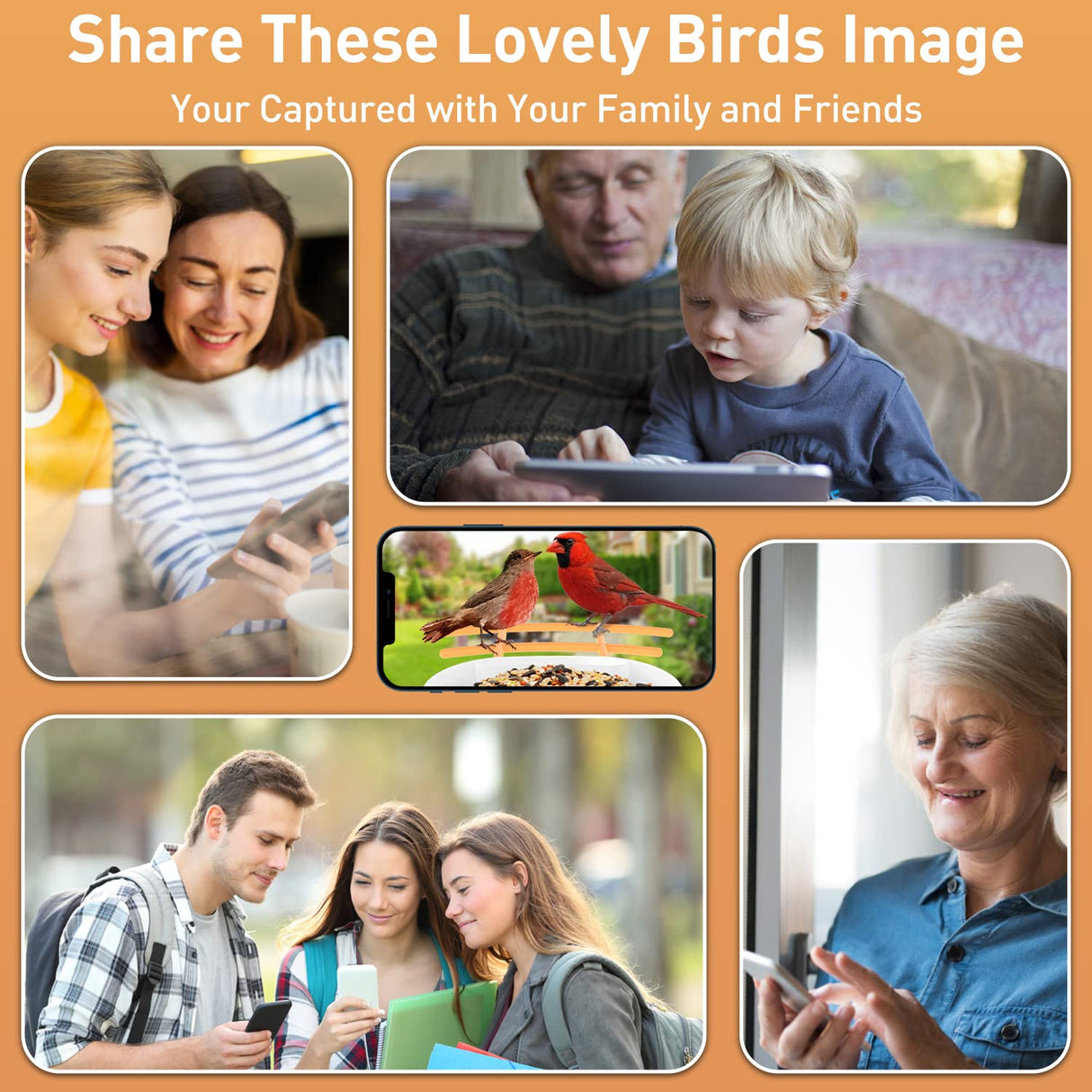 SOLIOM BF09 Bird Feeder with Camera Wireless Outdoor,Smart Bird Feeder Camera with AI Identify Bird Species,Backyard Bird Watching Gift for SOLIOM