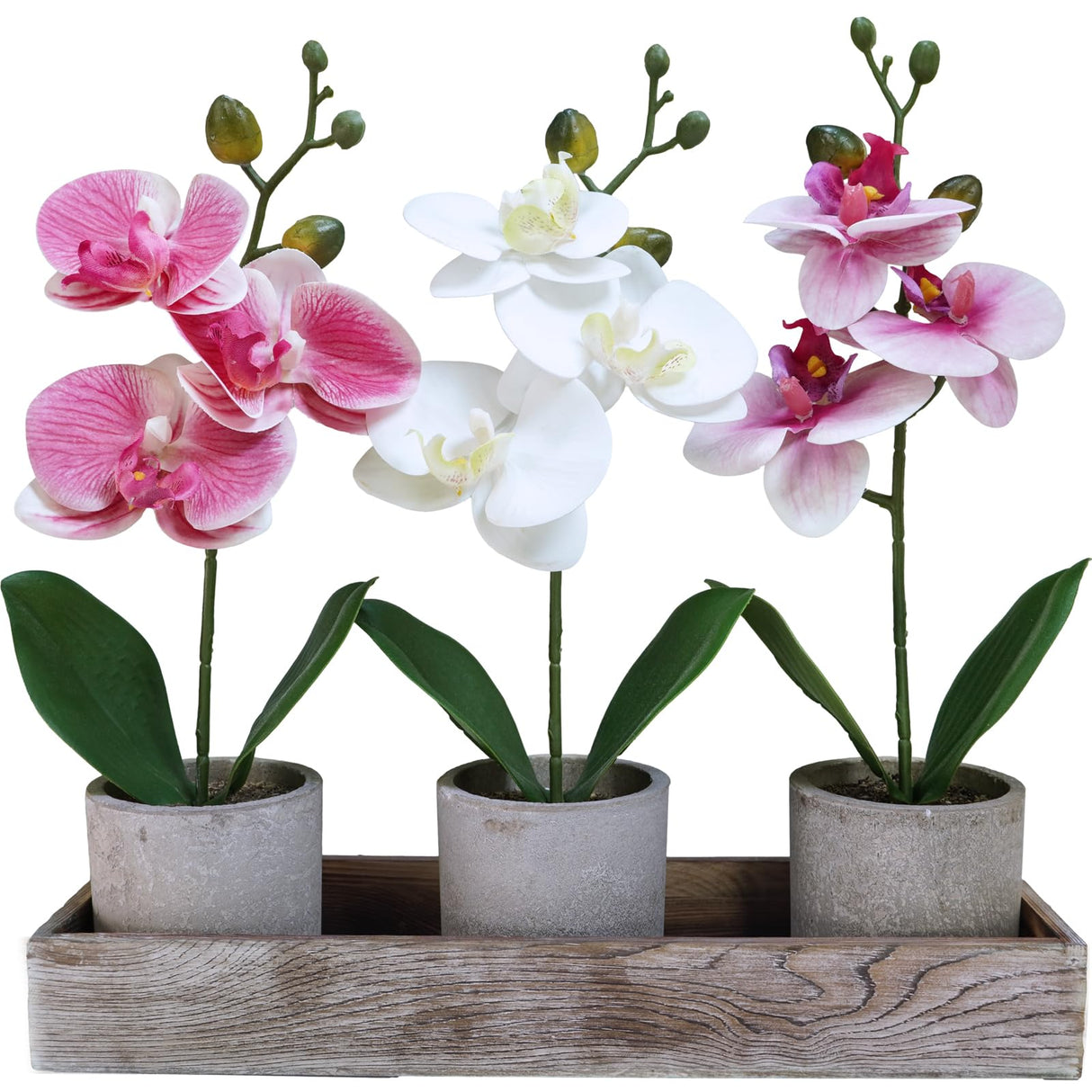 Winlyn Set of 3 Small Artificial Orchid Potted Plants Arrangement with Rustic Wood Planter Box Real Touch Faux Phalaenopsis Moth Orchid Flowers in Pots for Home Office Desk Shelf Table Centerpiece Winlyn