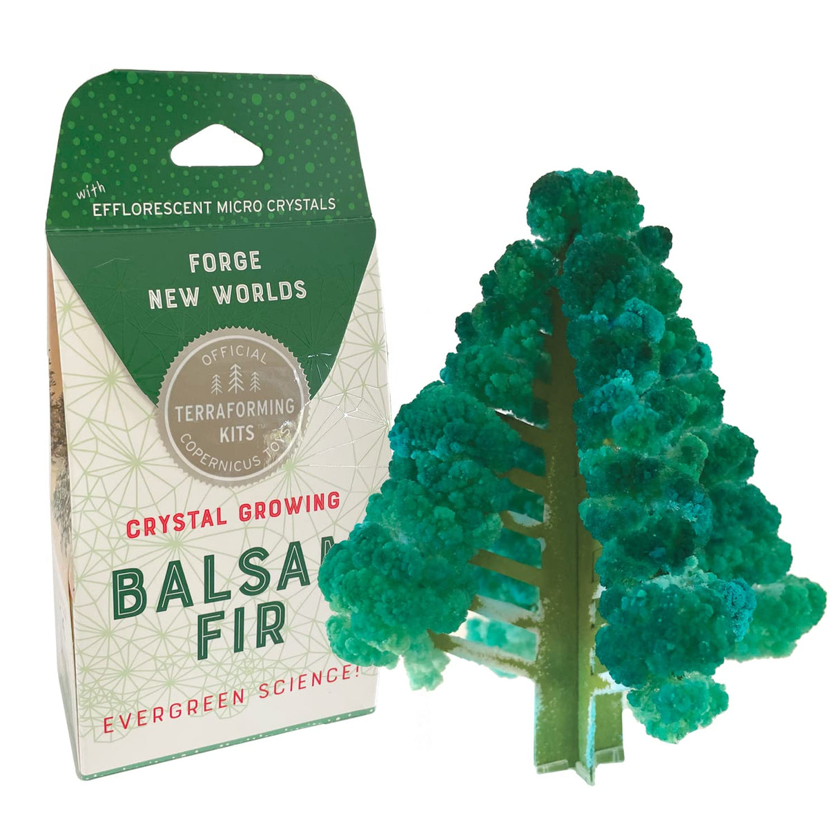 Copernicus Toys Crystal Growing Balsam Fir Official Terraformer kit | Grows in Hours | Facts and Instructions Included | Evergreen Science! Copernicus Toys