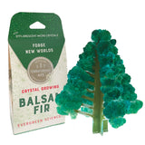 Copernicus Toys Crystal Growing Balsam Fir Official Terraformer kit | Grows in Hours | Facts and Instructions Included | Evergreen Science! Copernicus Toys