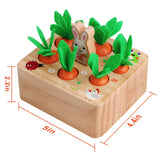 SKYFIELD Carrot Harvest Game Wooden Toy for Baby Boys and Girls 1 2 3 Year Old, Educational Shape Sorting Matching Puzzle Gift Toy with 7 Sizes Carrots.Great Montessori Toy for Toddlers 1-3 SKYFIELD