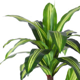 Ferrgoal Artificial Plants, 5 Ft Dracaena Tree Faux Plants Indoor Outdoor Decor Fake Tree with Woven Seagrass Basket Plants for Home Decor Office Living Room Porch Patio Housewarming Ferrgoal