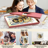 hill froeistung Special Shape Cartoon Bee Diamond Art Painting Kits for Adults,Crystal Rhinestones Diamond Art Kits for Beginners,Diamond Art Kits for Home Decor12×12inch hill froeistung