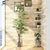 CAPHAUS 5-Tier Corner Shelf, Tall 59.1-Inch White Metal Frame Display Rack, Bookshelf Unit for Bathroom, Living Room, Home, Office CAPHAUS