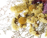 Botius 17" Natural Mixed Dried Flowers Bouquet Real Dried Lover Grass, Myosotis, Daisy, Craspedia Billy Balls Floral Arrangements for Boho Home Wedding Table Vase Décor Botius