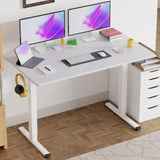 BLKMTY Electric Standing Desk Adjustable Height Computer Desk 24"x55" Home Office Desk Ergonomic Raising Desk Sit Stand Desk with Headphone Hook 20db Noiseless Lifting Desk for Adult, White BLKMTY