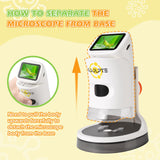 Microscope for Kids, 1000X HD Pocket Kids Microscope, 2.1'' LCD Screen Mini Micrscope for Kids 8-12, Science Mini Scope Toy Kits, Handheld Miniscope Educational Gifts for Kids, 32 GB TF Card Included Koolpte