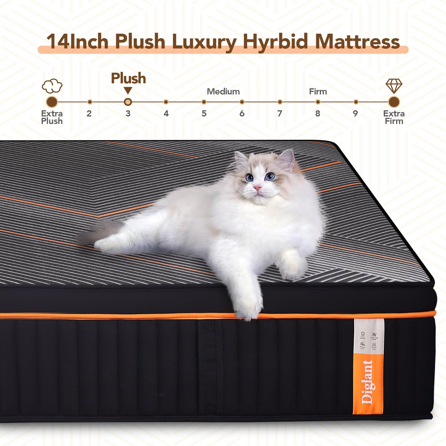 DIGLANT California King Mattress, 14 Inch Plush Hybrid Mattress, Black Memory Foam with Individual Pocket Coils Mattress Cal King Size in Box, Mattress for Pressure Relief,Balanced Support, 72"*84"