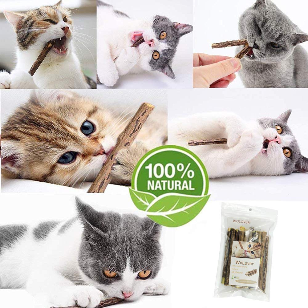 WoLover Silvervine Sticks for Cats, Natural Catnip Matatabi Chew Sticks Teeth Molar Chew Toys for Cat Kitten Kitty (at Least 12 PCS) WoLover