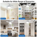 Vilante Ceiling Fans with Lights, 24 Inch Low Profile Ceiling Fan with Light and Remote Control, Dimmable, 6 Speeds, 3CCT, Flush Mount, Quite, Reversible DC Motor Modern Ceiling Fan for Bedroom Vilante