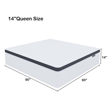 Deegari Queen Mattress,14 Inch Queen Size Mattress in a Box,Gel Memory Foam and Innerspring Hybrid Mattress with Individual Pocket Spring for Motion Isolation,Pressure Relief,Medium Firm Feel