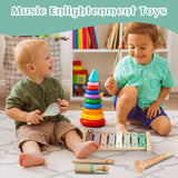 Raimy Musical Instruments Set - Neutral Colors Wooden Montessori Toys Percussion Music Modern Boho Xylophone Birthday Gifts for 1 2 3 Year Old Kids Baby Toddlers Boys Girls with Storage Bag Raimy