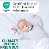 Southshore Fine Living, Inc. Farmhouse Quilts Queen Size, Quilt Bedding Set, Lightweight Coverlet Bedspread Full Size, 3-Piece Boho Quilt Set with Two Matching Pillow Shams, Full/Queen, Blue Paisley Southshore Fine Living, Inc.