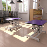 Hydraulic Dog Pet Grooming Table, 42 Inch Heavy Duty Z Lift Structure Professional Dog Grooming Table Suitable for Large Dogs at Home with Adjustable Arms, Clamps and 2 Grooming Noose, Purple Afqxf