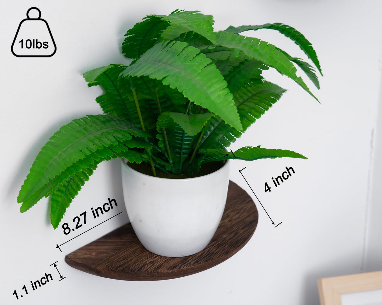 QsQueen Solid Wood Half Round Floating Wall Shelves | Elegant Floating Shelves, Elevate Your Space. Perfect for Living Rooms, Bathrooms, Bedrooms, Offices, Children's Rooms QsQueen