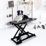 JETEAGO 49.6” Pet Dog Grooming Table Adjustable Professional Trimming Table with Arms,Noose for Large Cat Shower Table, Maximum Capacity Up to 330LBS JETEAGO