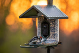 FeatherSnap Scout Wi-Fi Solar Powered Smart Bird Feeder - Automatically Captures HD Pictures and Videos! Best Gift for Bird Watchers! Dual Seed chamber - Feather Snap FeatherSnap