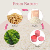 Adamonda Candle Making Kit Supplies for Adults Beginners with Wax Melter,2lbs Soy Wax Flakes Gloves Spoon Sticker Candle Wick,Natural Soy Waxs DIY Candle Making Kits for Starter Adamonda