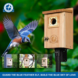 SISTERBIRD 2 Pack Bird Houses for Outside Clearance with Copper Guard, Cedar Bird House Outdoor, Bluebird Finch Swallow Wren Chickadee Assembly Required SISTERBIRD