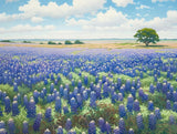DIY 5D Diamond Art Kits Painting for Adults Beautiful Texas Bluebonnets Field (2) for Home Wall Decor 11.7x15.8inches/30x40cm Generic