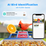Solareye Bird Feeder with Camera, 2K HD Color Night View, AI Bird Identification, Auto Capture,Motion Detection Alerts, Smart Bird Feeder for Outdoors, Present for Bird Lover(Solar Panel Included) Solareye