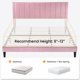 SHA CERLIN Full Bed Frame/Velvet Upholstered Platform Bed Frame with Headboard/Strong Wood Slats Support/Mattress Foundation/No Box Spring Needed - Pink SHA CERLIN