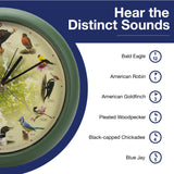 Mark Feldstein Limited Edition 20th Anniversary Singing Bird Wall/Desk Clock, 8 Inch Mark Feldstein & Associates