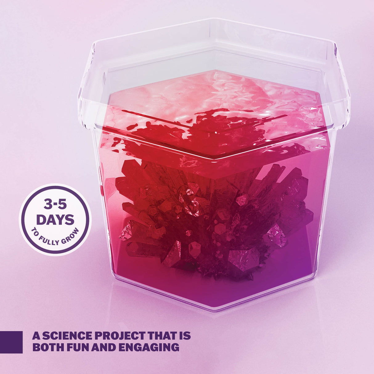 Dan&Darci Crystal Growing Kit for Kids - Science Experiments Gifts for Boys & Girls Ages 8-14 Year Old - Toys Teen Age Boy/Girl Arts & Crafts Kits - Cool Projects Ideas 8 9 10 11 12 Yr Olds Dan&Darci