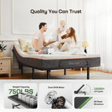 Marsail MS01-1 Split King Adjustable Bed Base with Massage, 4 Ports USB A&C Adjustable Bed Frame with Under-Bed Nightlight, 3 Minutes Assembly, Wireless Control Adjustable Bed with 4 Height Options Marsail