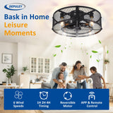 Depuley Flush Mount Ceiling Fan: 20" Caged Ceiling Fans with Lights and Remote App Control for Kitchen Bedroom Farmhouse - Rustic Low Profile Ceiling Fandelier Lights Reversible 6 Speed Timer Black Depuley
