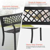 BestMassage Outdoor Garden Bench,Iron Steel Frame Patio Bench with Mesh Pattern and Plastic Backrest Armrests for Porch,Lawn,Garden,Park,Yard,Black BestMassage