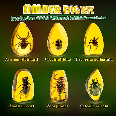 GobiDex Amber Dig Kit-Artificial Insect Resin, Excavate 6 Insects Specimens, STEM Geographic Educational Bugs Toys, Excavation Toys for Fun Bugs Party Favors, Science Kits for Kids Age 6-8 8-12 GobiDex
